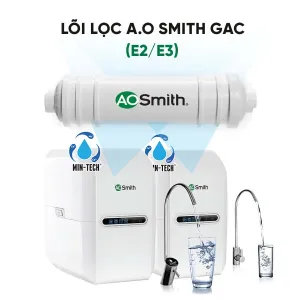 Lõi lọc A.O Smith GAC (E2/E3)