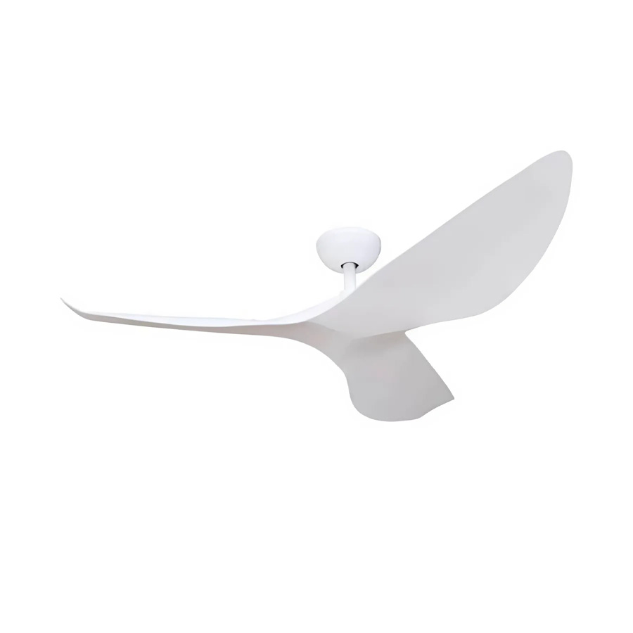 Quạt trần AIRFUSION AKAMANI DCF-FS52930 – màu trắng - toàn cảnh sản phẩm