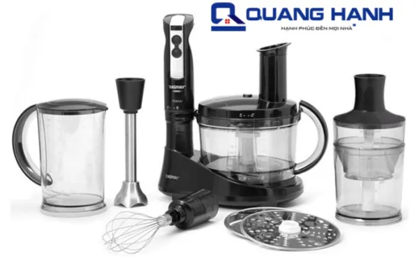 Máy xay sinh tố cầm tay Zelmer 491.20