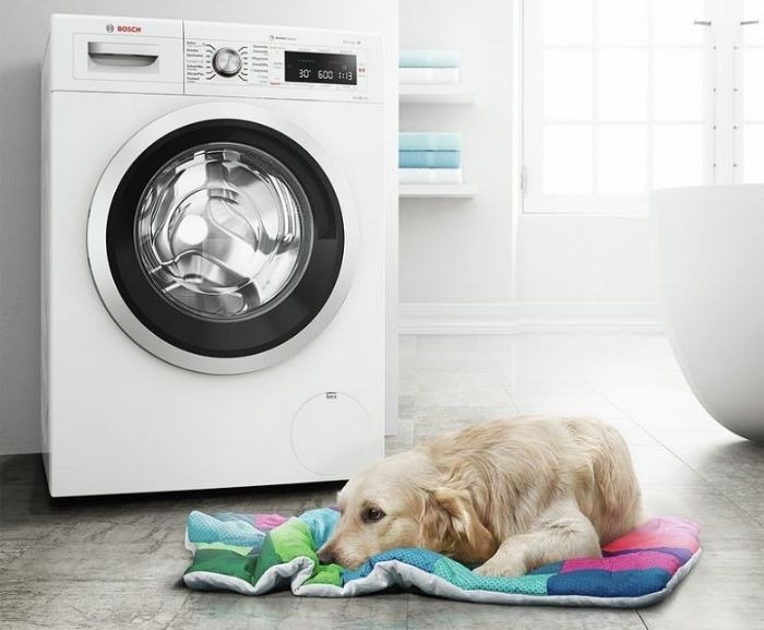 Máy giặt Bosch WGG244A0SG