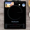 Bếp từ đơn BlueStone ICB-6619
