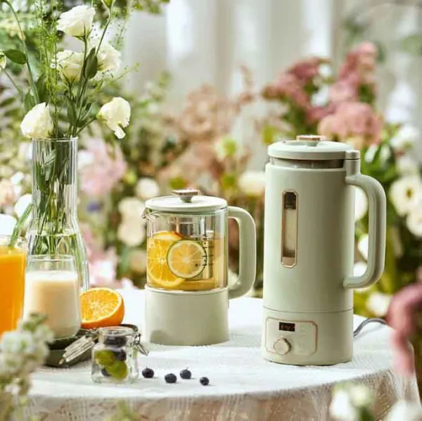Máy làm sữa hạt kèm bình trà dưỡng sinh Bear DJJ-B05Q2