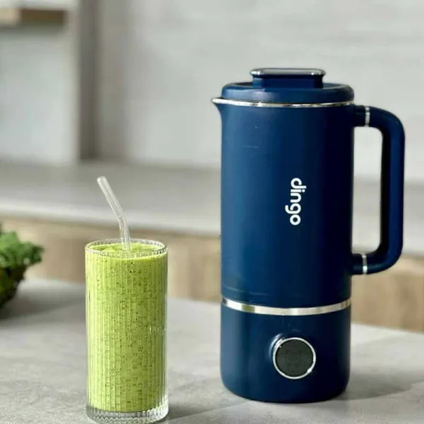 Máy xay nấu đa năng mini Dingo DCB600