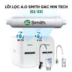 Lõi lọc A.O Smith GAC Min-Tech (E2/E3)