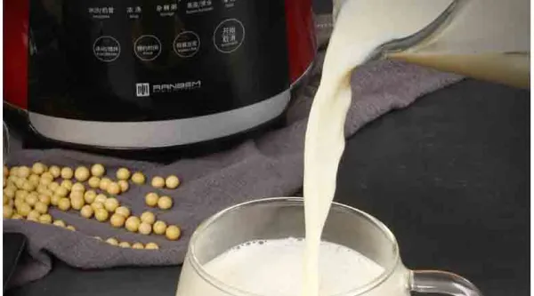 Máy làm sữa hạt Ranbem 732G
